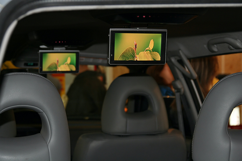 drop down roof screens installed in a vehicle